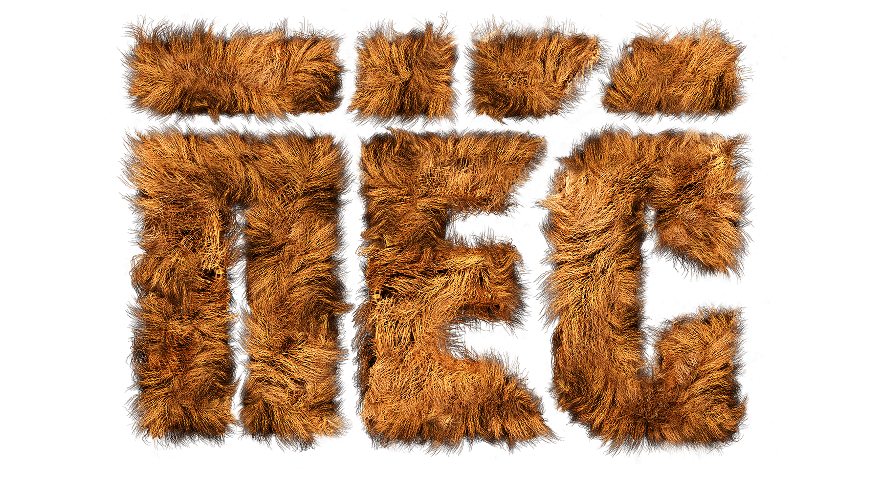 Пёс (сезон 3)